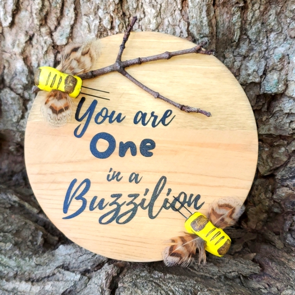 You are One in a Buzzilion Bee Wood Sign